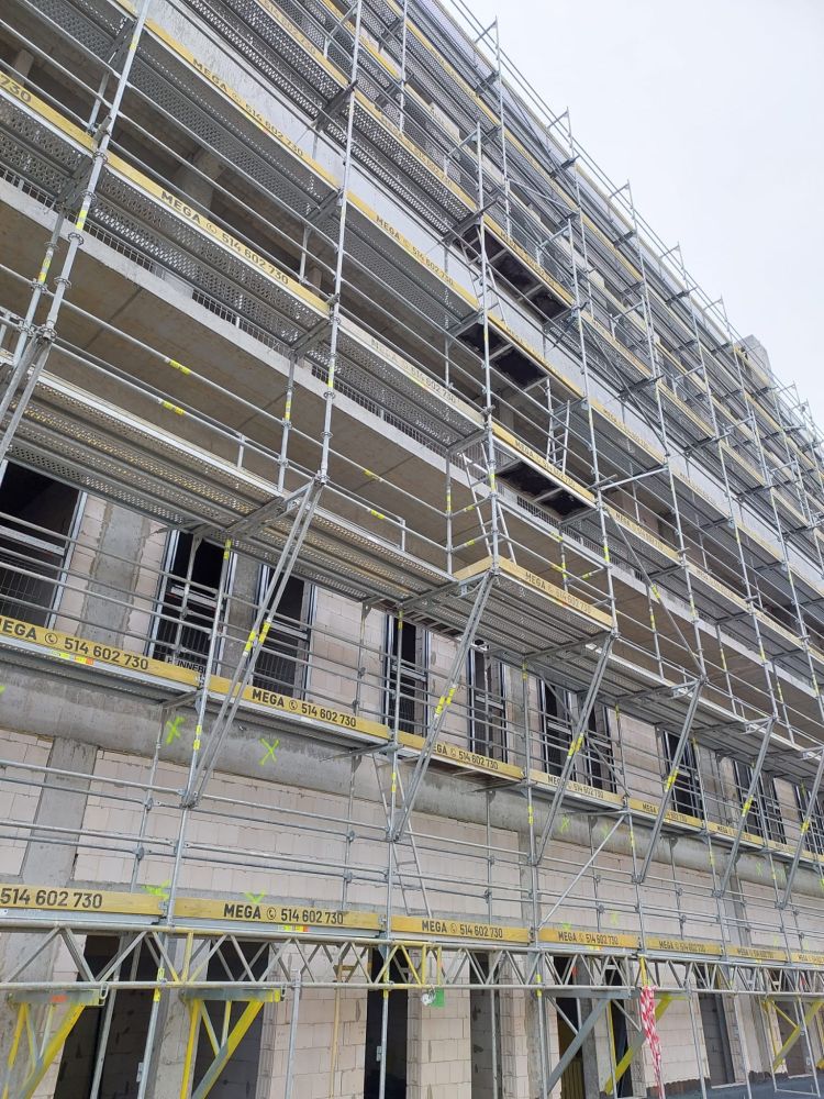 PHOTO-2023-10-13-10-27-47 2.JPG