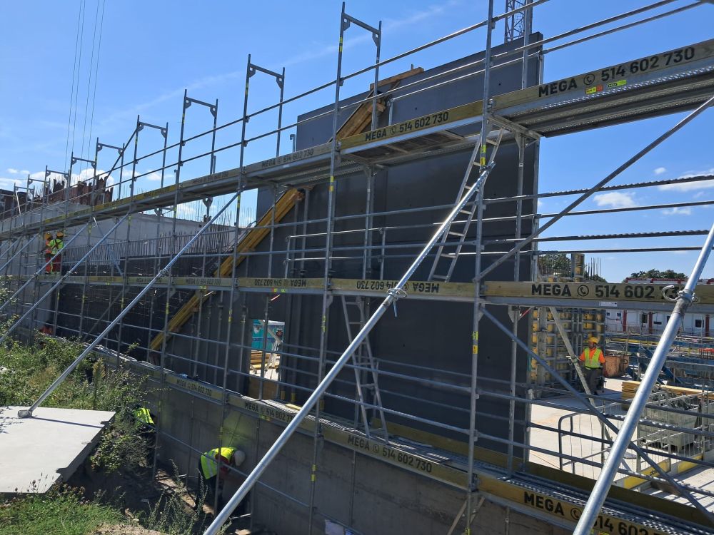 PHOTO-2024-07-31-12-58-10 2.jpg