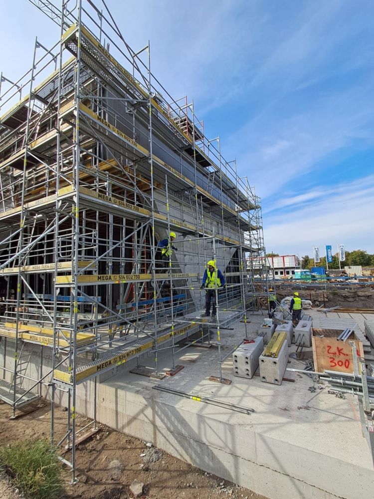 PHOTO-2024-09-12-07-34-20 3.jpg