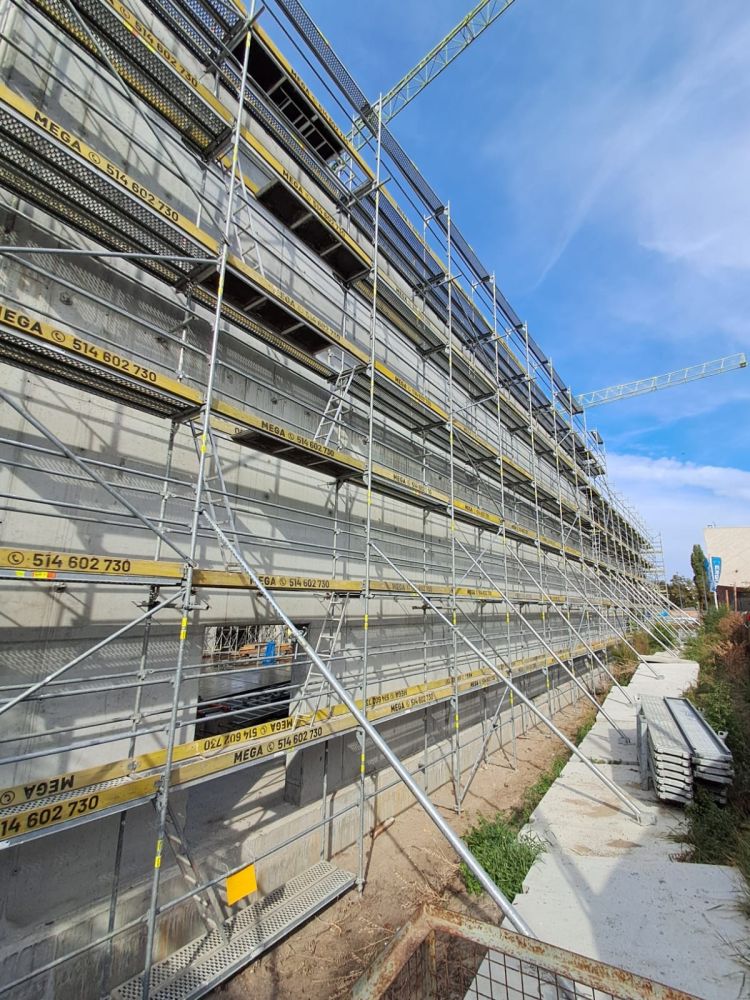 PHOTO-2024-09-12-07-34-21 2.JPG