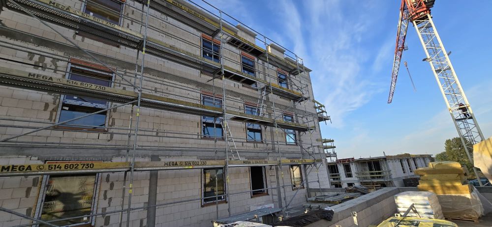 PHOTO-2024-08-27-07-08-04 3.jpg